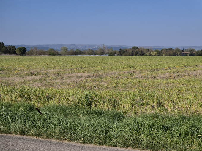 Offres de vente Terrain agricole Villasavary (11150)